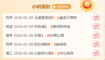 德国球迷看,台上披萨菠,萝牵手图引,大赢家体育首页,即时比分,比分直播,足球比分直播,大赢家官网
