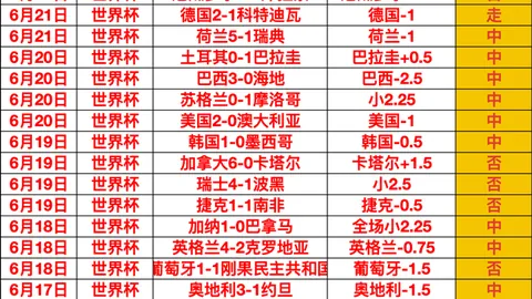 大赢家足球比分 124653